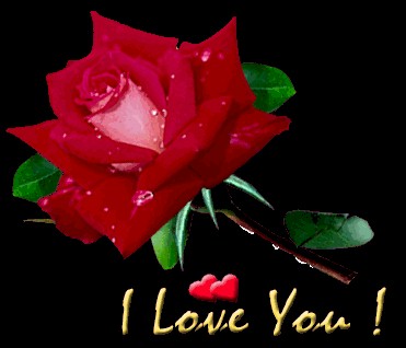 ilove bb