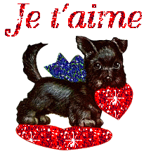 je t aime bb